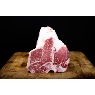 Fiorentina di Black Angus - Jack's Creek