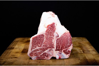 Fiorentina di Black Angus - Jack's Creek