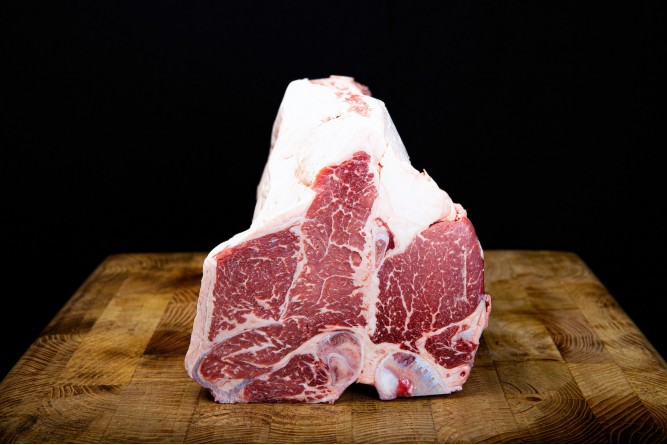 Fiorentina di Black Angus - Jack's Creek