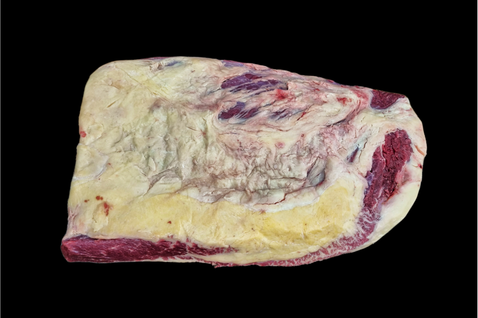 Brisket - Simmenthal Bavarese