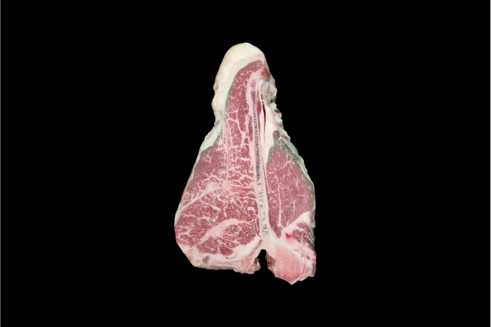 Fiorentina Mazury 6+