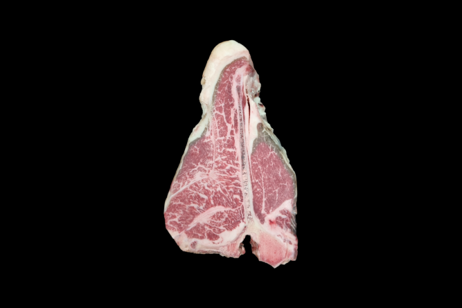 Fiorentina Mazury 6+