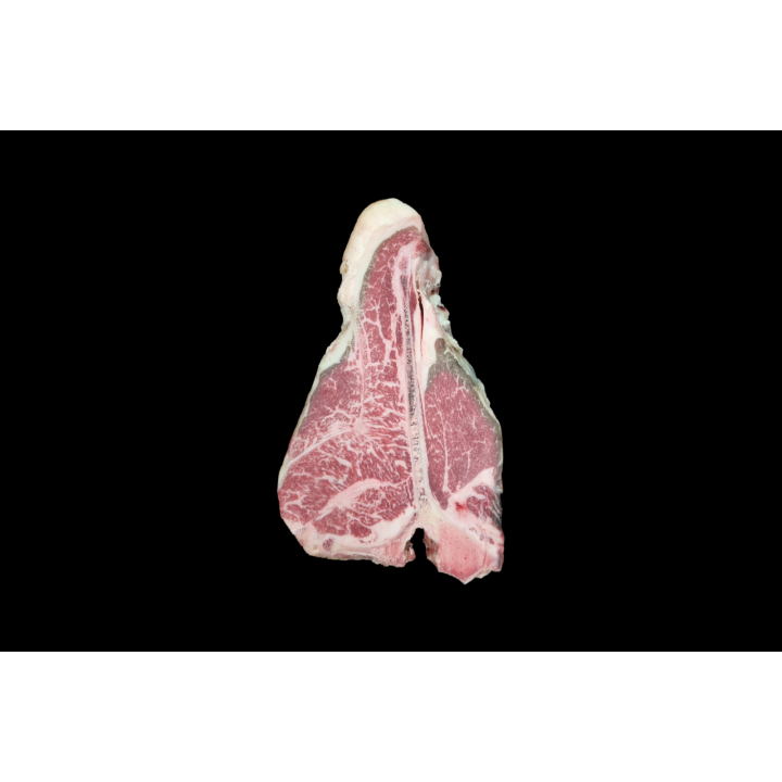 Fiorentina Mazury 6+