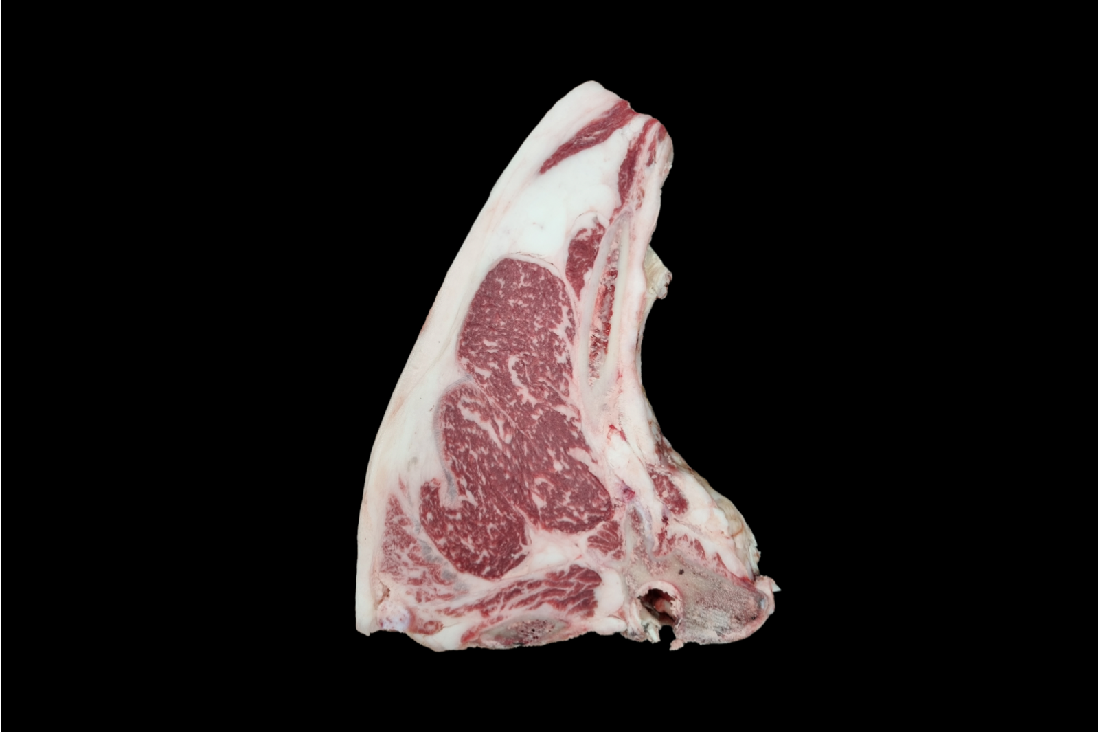 Costata Wagyu