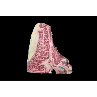 Fiorentina Mazury 9+