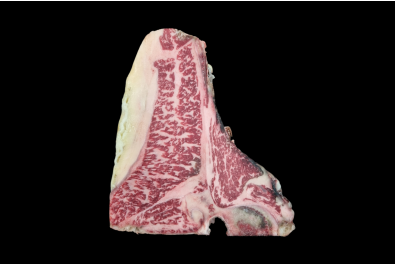 Fiorentina Mazury 9+