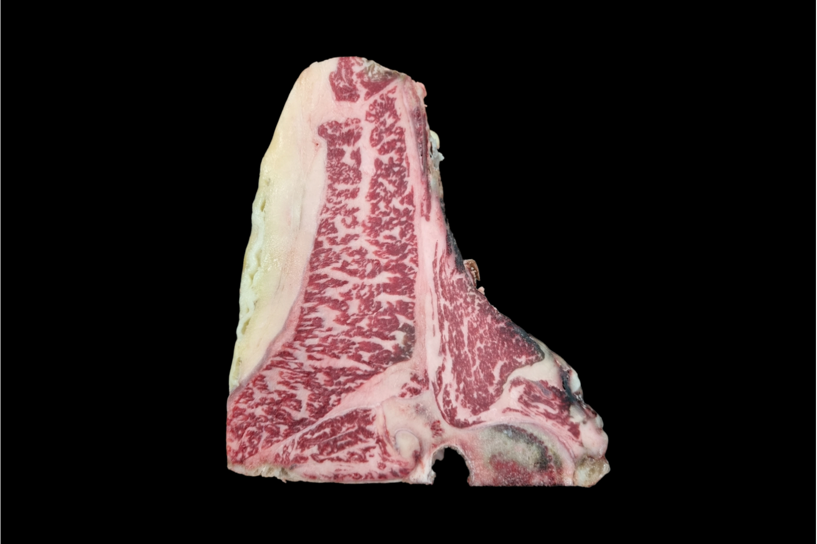 Fiorentina Mazury 9+