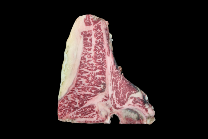 Fiorentina Mazury 9+