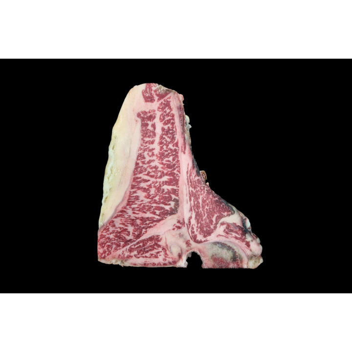 Fiorentina Mazury 9+